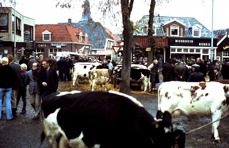 Afbeelding invoegen