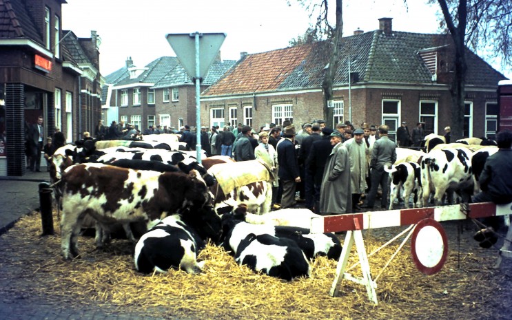 Afbeelding invoegen