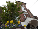 Grotestraat