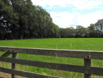 Landgoed De Barkel
