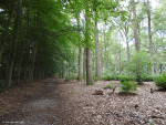 Landgoed De Barkel