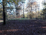 grafheuvel