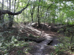 Dal van de Mosbeek