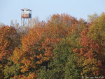 Brandtoren