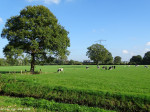 Waterzuivering