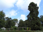 Abraham Ledeboerpark