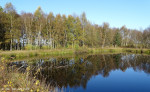 Engbertsdijksvenen