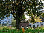 Campus UT
