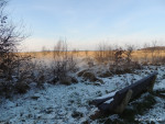 Wierdense Veld