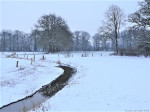 Bevert op de grens Salland Twente